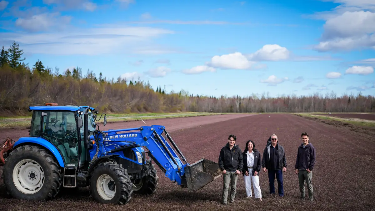 How this three-generation farm helped turn Quebec into a cranberry superpower