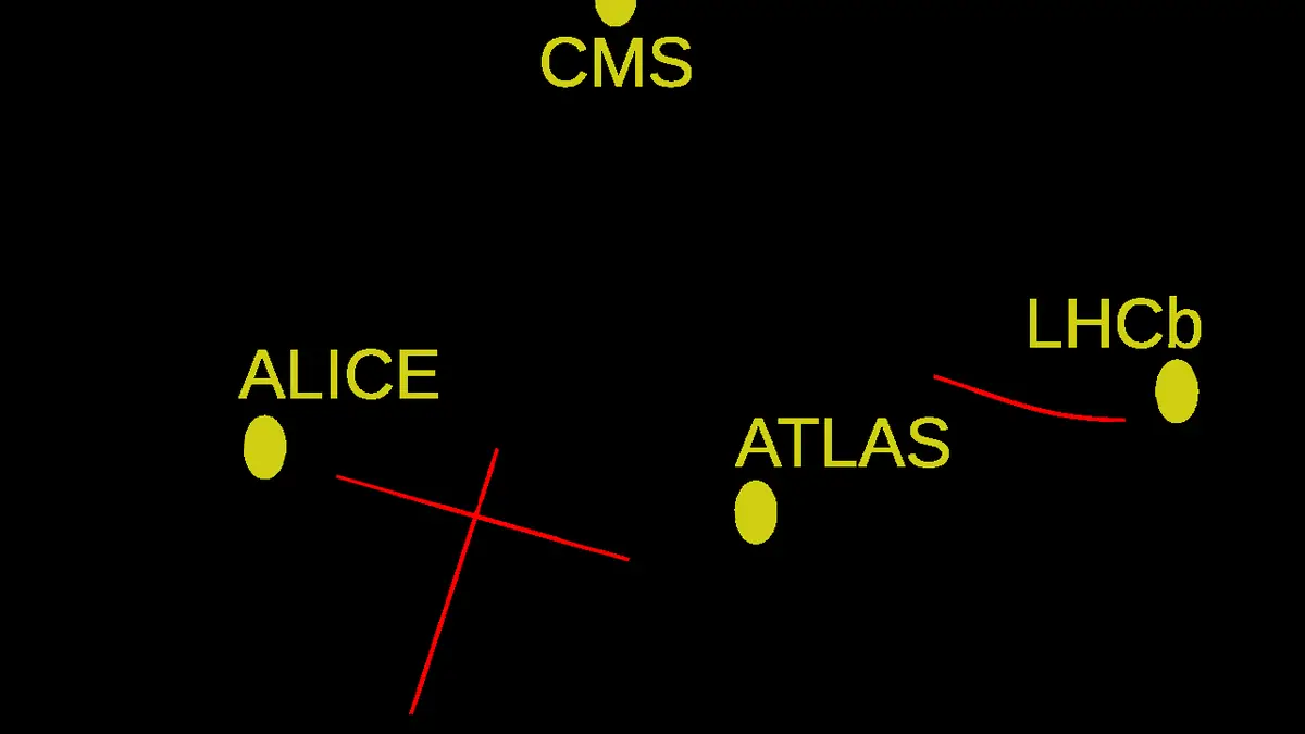 NCBJ Leads Study Of Neutrino Scattering At The Large Hadron Collider