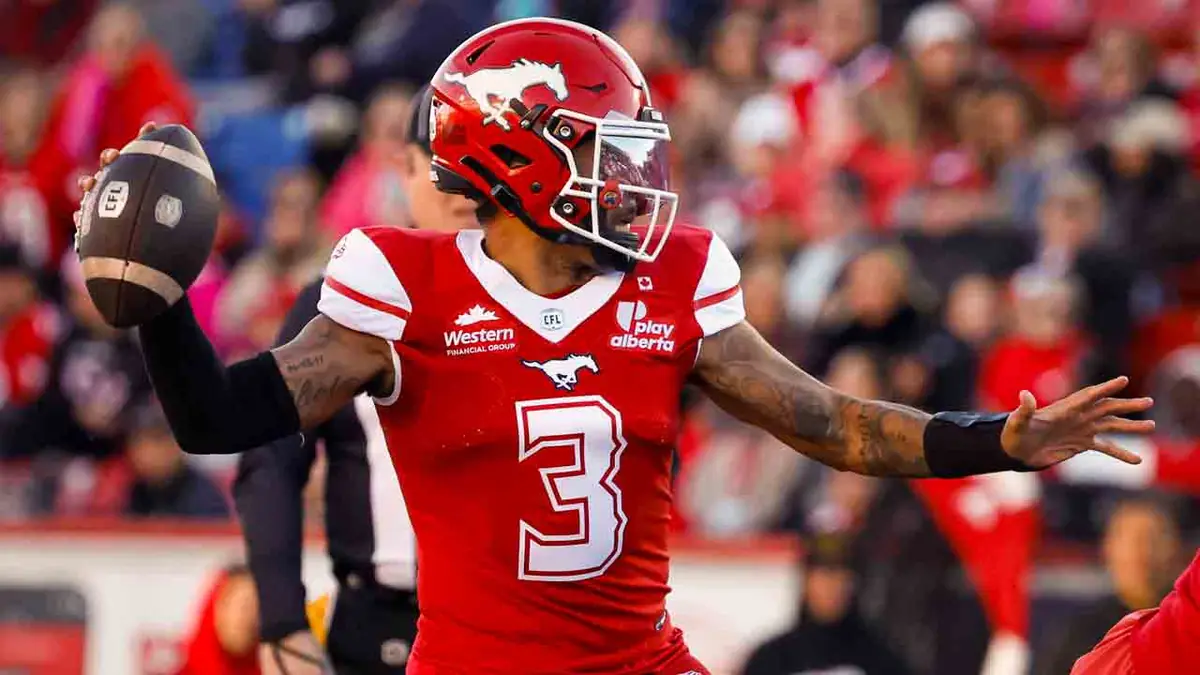 Stampeders beat Lions to avoid elimination