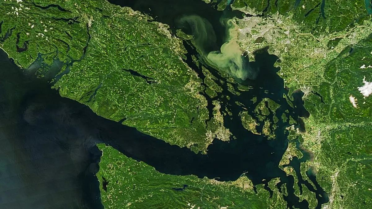 VIDEO: YouTuber draws the viewer under the Salish Sea in Sidney