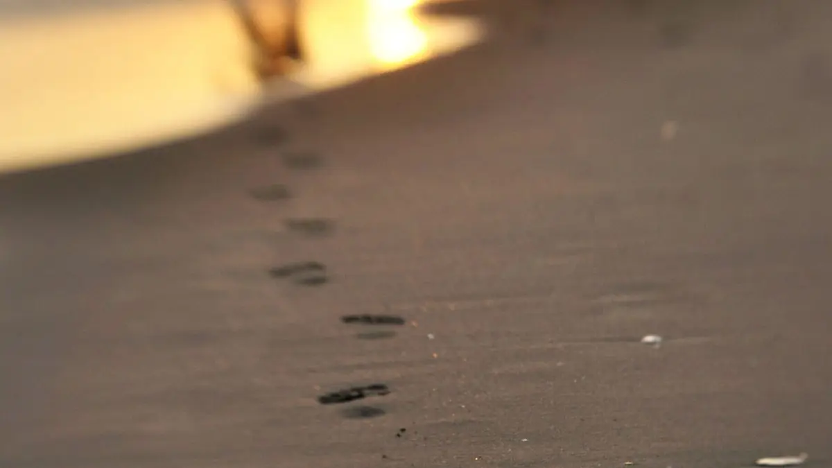 Why litigating employment law is like standing on shifting sand