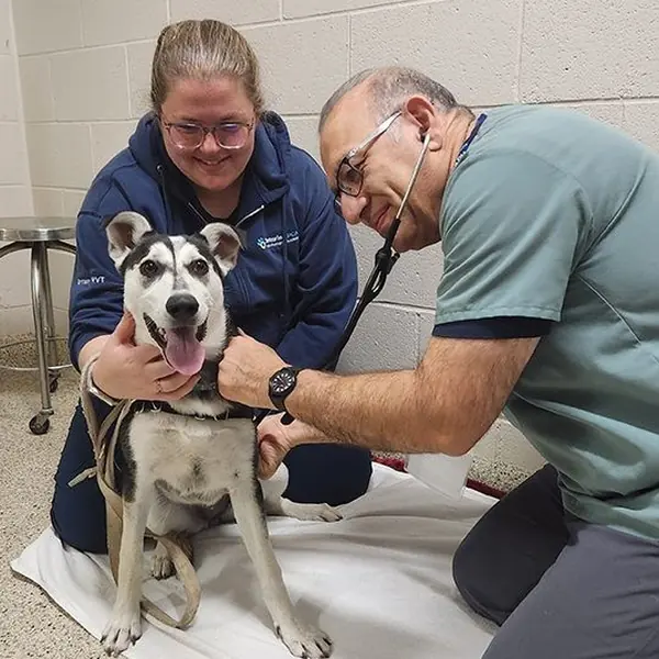 World Rabies Day clinic for pets puts spotlight on prevention